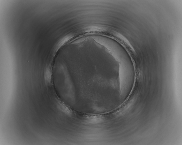 X0000113270874200909101517