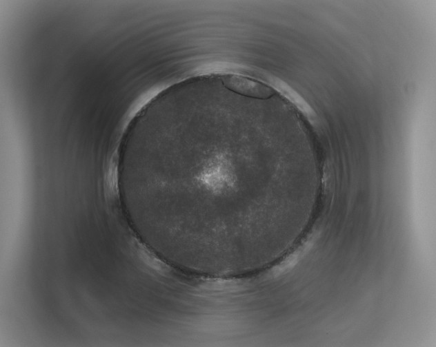 X0000113270877200909101517