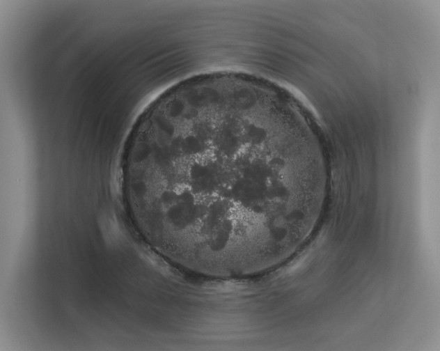 X0000113270879200909101517