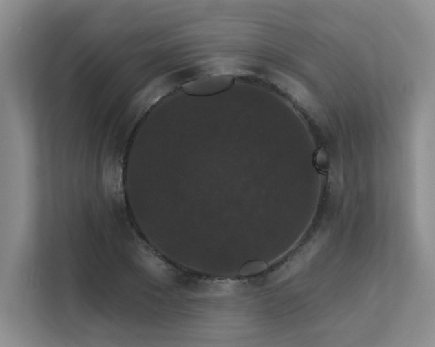 X0000113270881200909101517