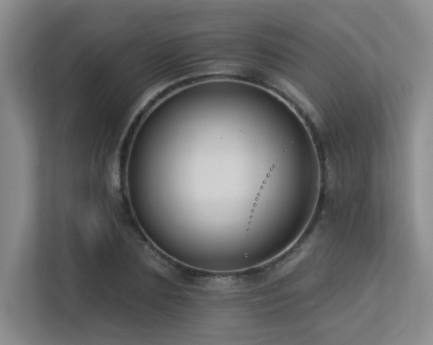 X0000113270883200909101517