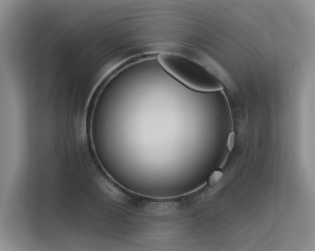 X0000113270884200909101517