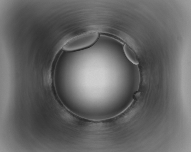 X0000113270885200909101517