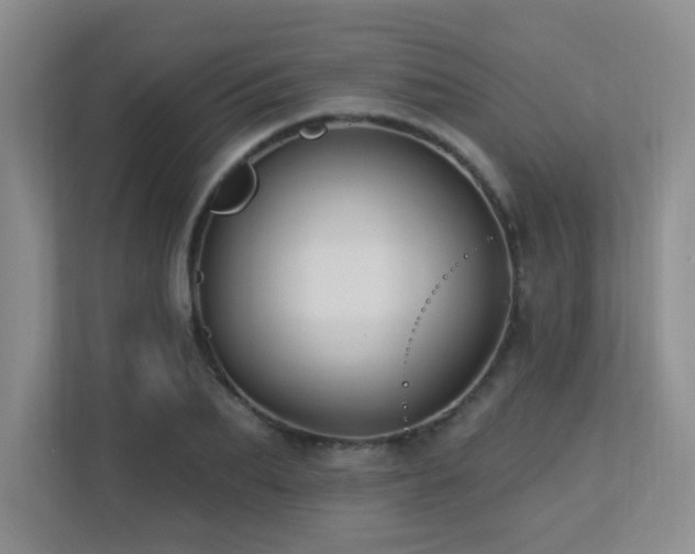 X0000113270887200909101517