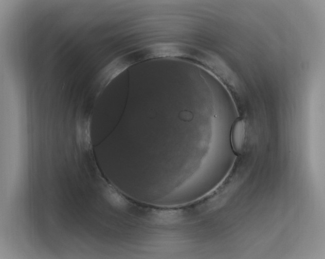 X0000113270889200909101517