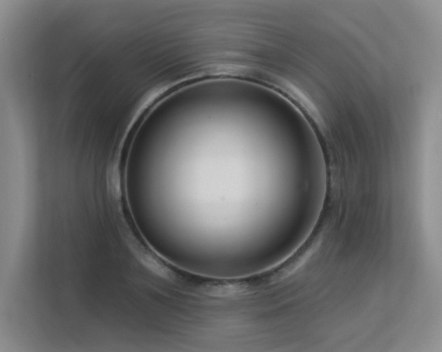 X0000113270891200909101517