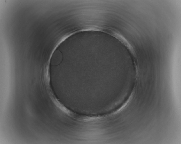 X0000113270892200909101517