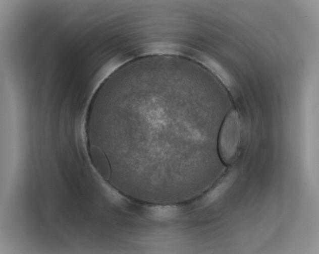 X0000113270893200909101517