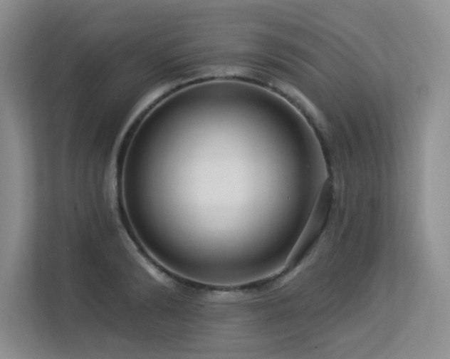 X0000113270894200909101517