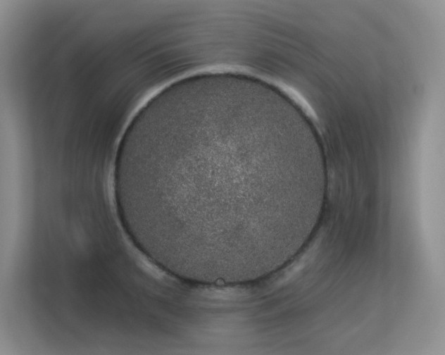 X0000113270895200909101517