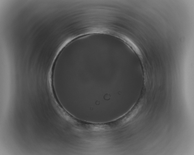 X0000113270899200909101517
