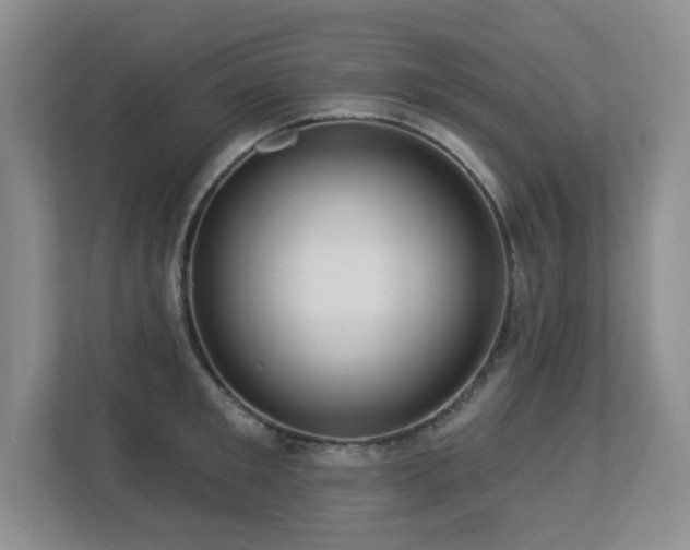 X0000113270901200909101517