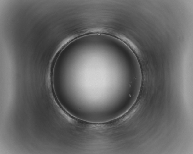 X0000113270902200909101516