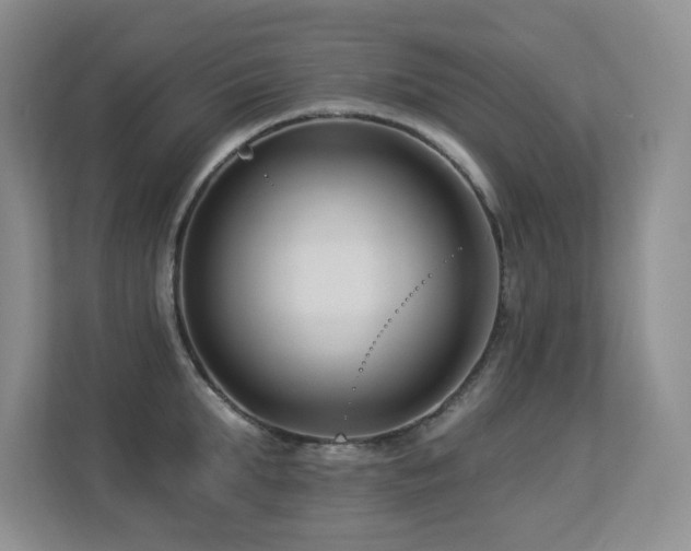 X0000113270903200909101516
