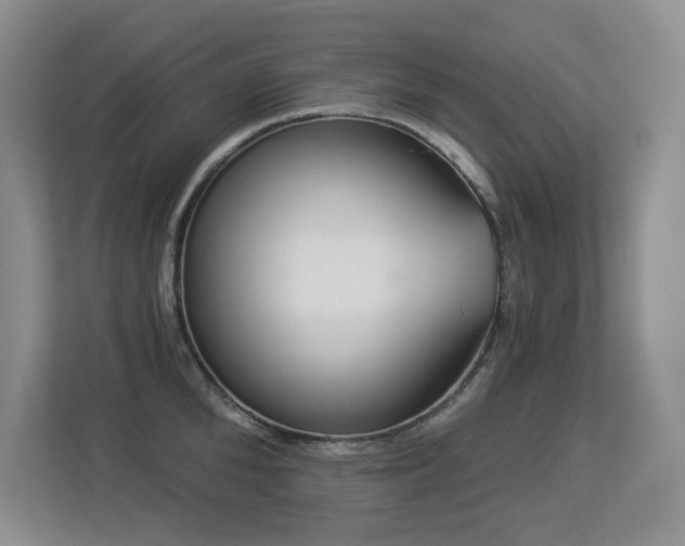 X0000113270904200909101516