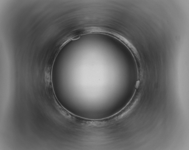 X0000113270905200909101516