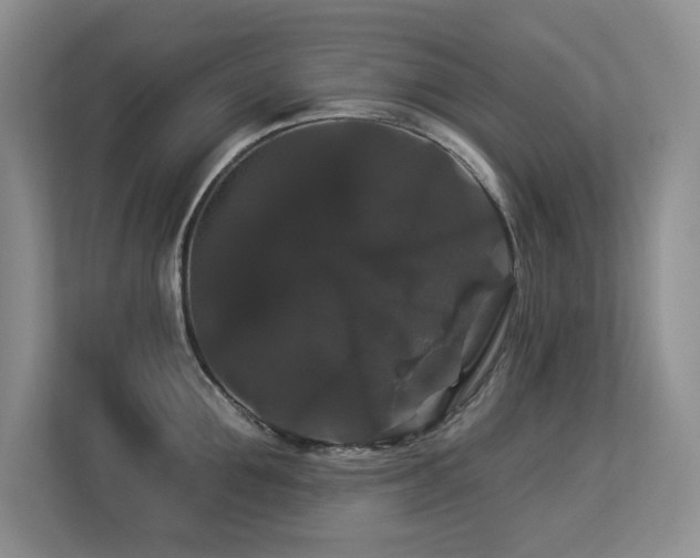 X0000113270907200909101516