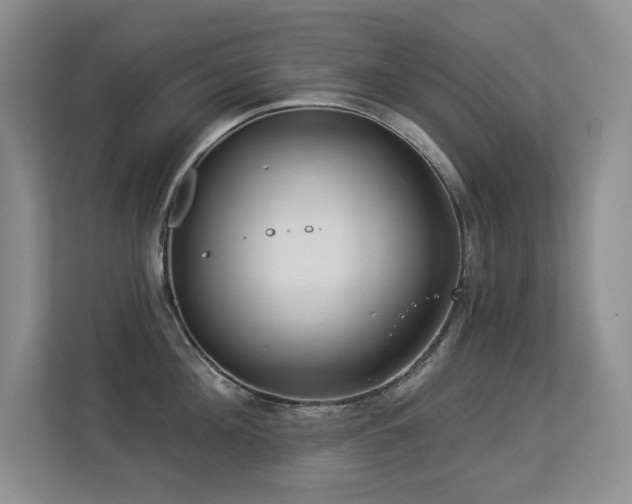 X0000113270908200909101516