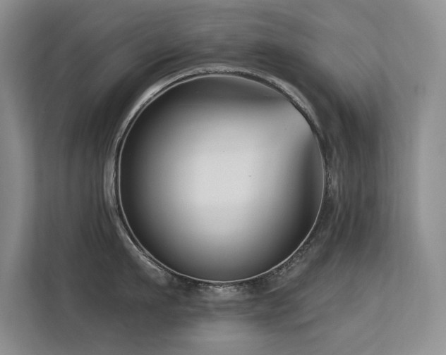 X0000113270911200909101516