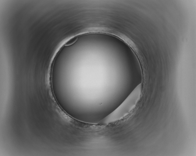 X0000113270912200909101516