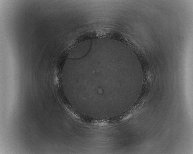 X0000113270914200909101516