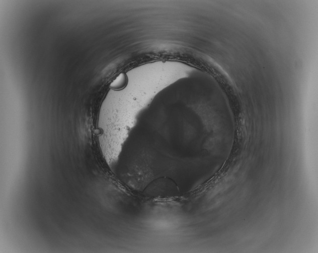 X0000113270918200909101516