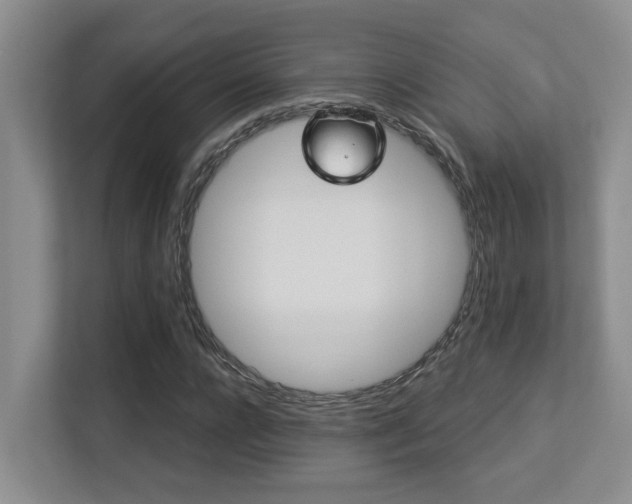 X0000113270920200909101516
