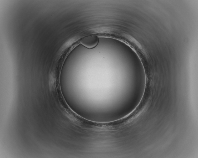 X0000113270922200909101516