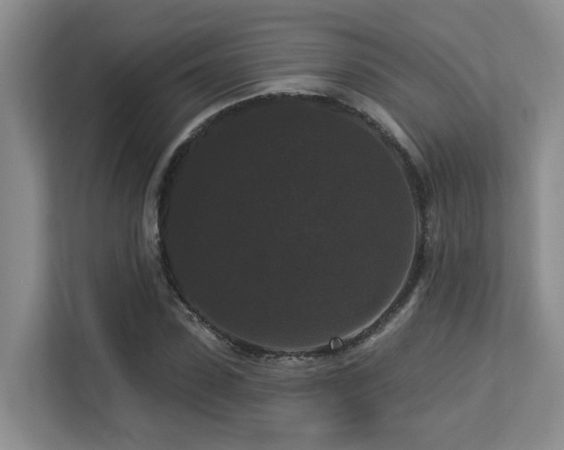 X0000113270923200909101516