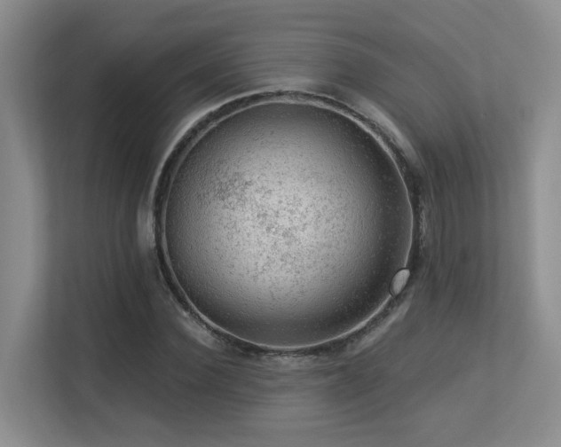 X0000113270924200909101516