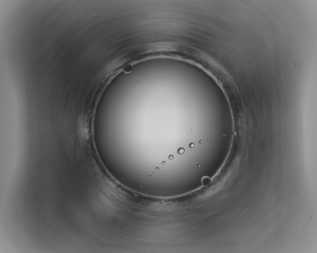 X0000113270929200909101516