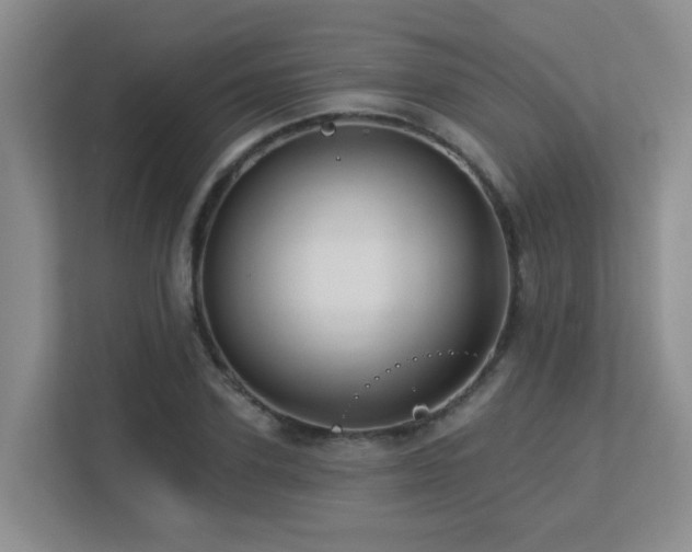 X0000113270931200909101516