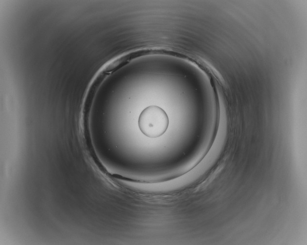 X0000113270932200909101516