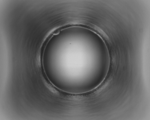 X0000113270934200909101516