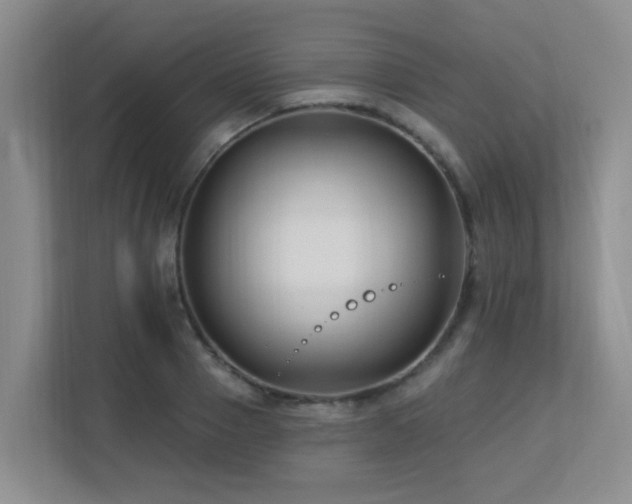 X0000113270937200909101516