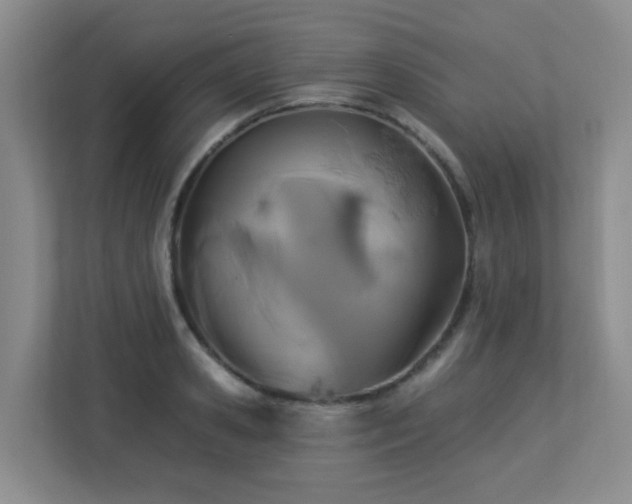 X0000113270941200909101516