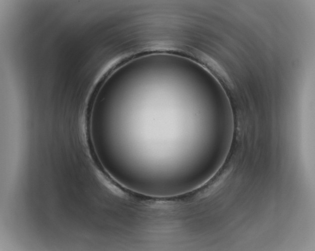 X0000113270942200909101516