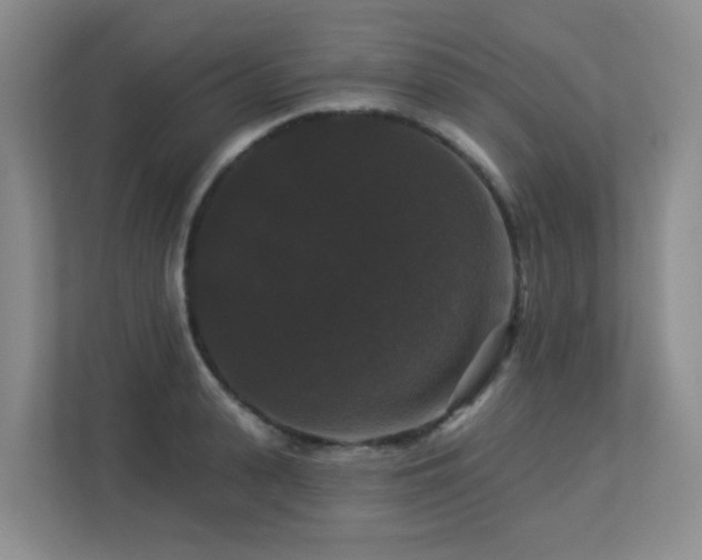 X0000113270943200909101516