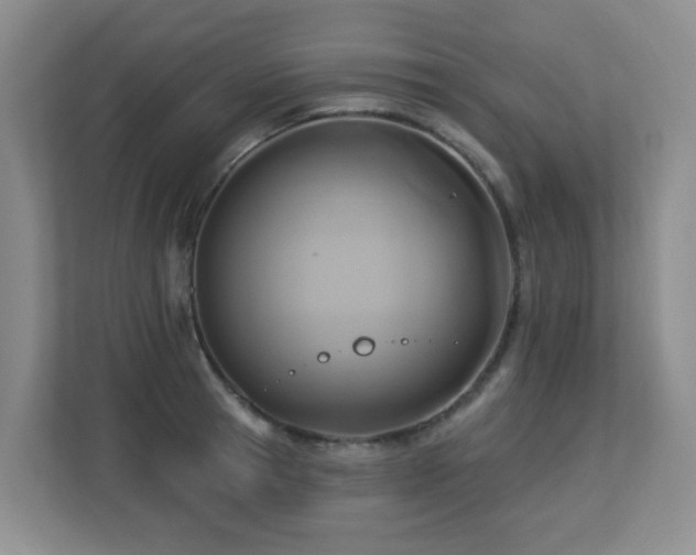 X0000113270945200909101516
