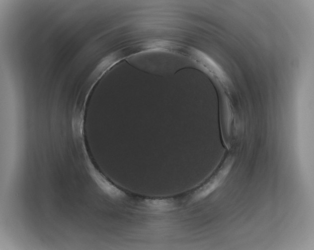 X0000113270946200909101516