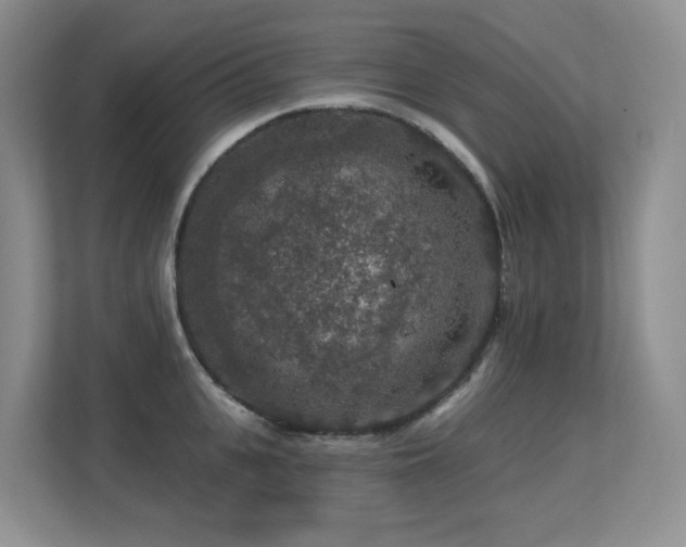 X0000113270951200909101516