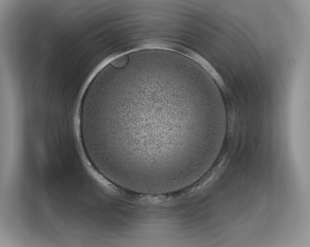 X0000113270955200909101516