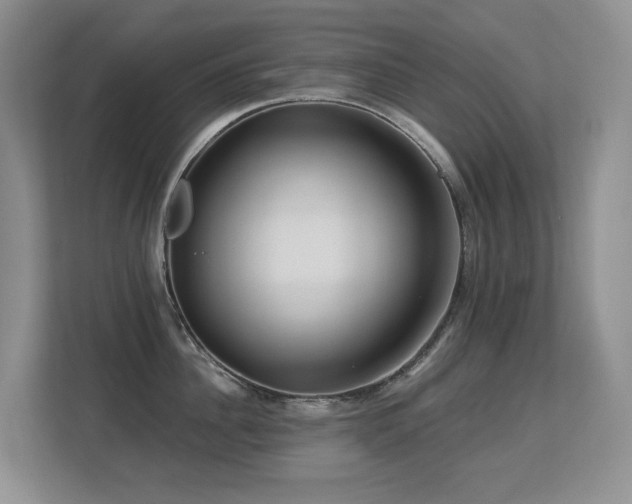 X0000113270956200909101516