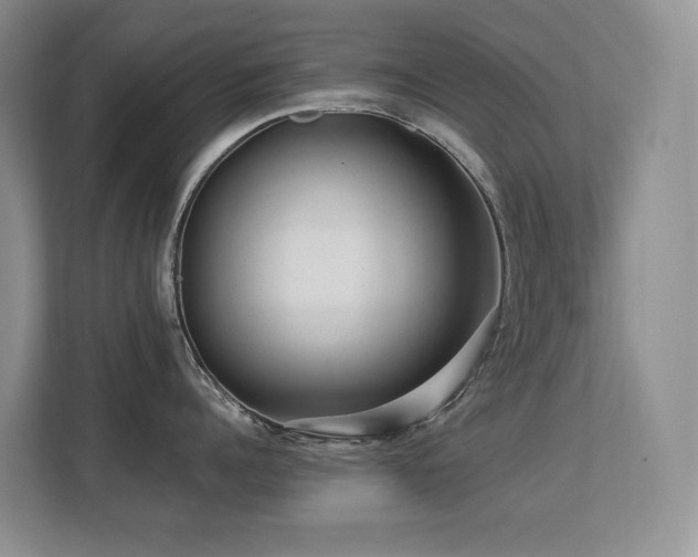 X0000113270960200909101516