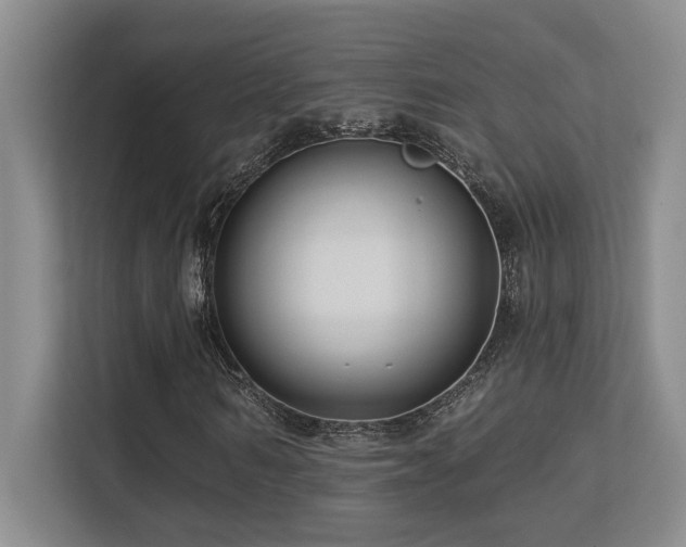 X0000113270962200909101516