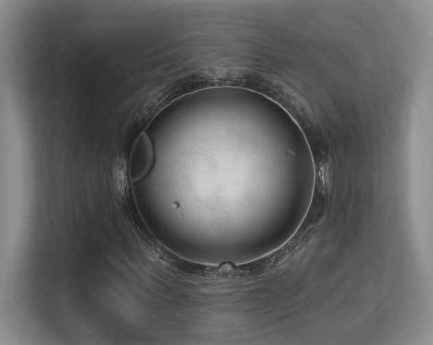 X0000113270963200909101516