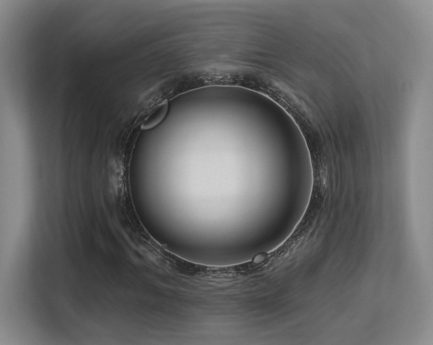 X0000113270964200909101516