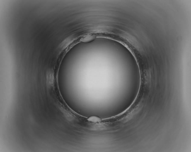 X0000113270969200909101516