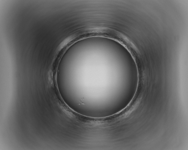 X0000113270970200909101516