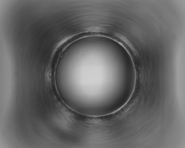 X0000113270971200909101516